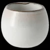 Amera Eggeglass