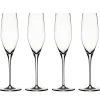 Authentis Champangeglass 19Cl, 4-Stk.
