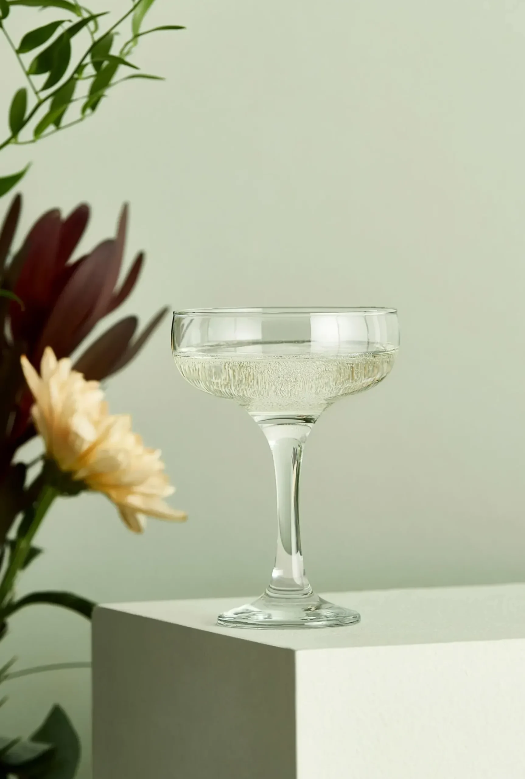 Cafe Champagneskal 23,5 Cl
