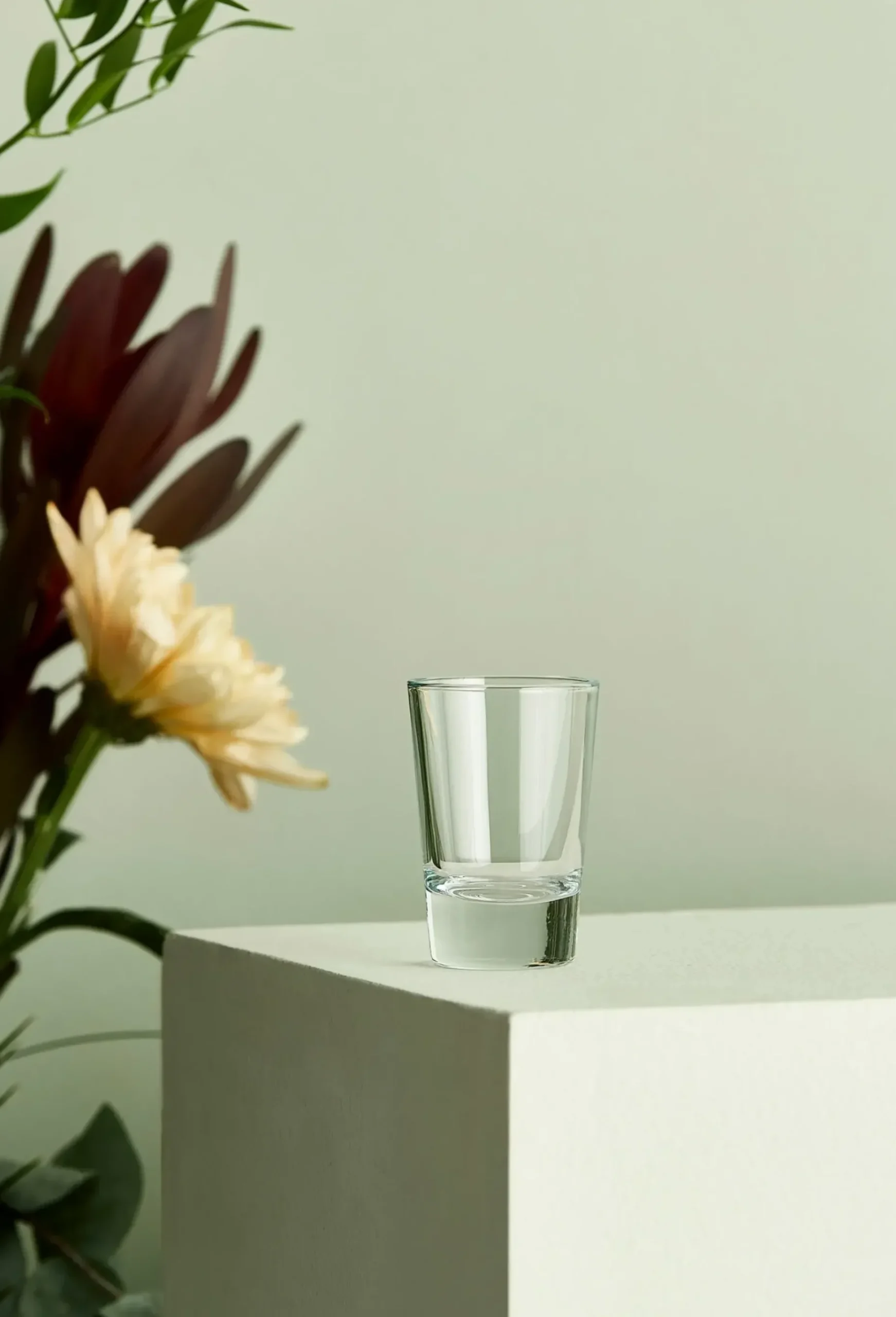 Cafe Shotglass 6,2 Cl