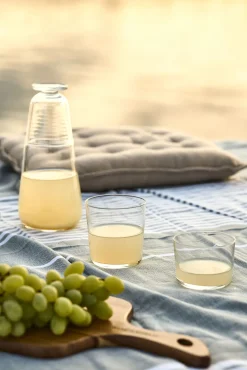 Day To Day Drikkeglass 22 Cl