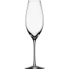 Difference Sparkling Glass