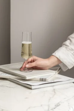 Informal Champagneglass 22 Cl 2-Pakning