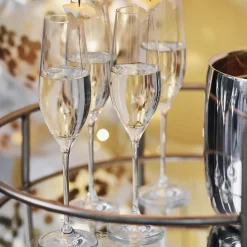 Karlevi Champagneglass 4 Stk.