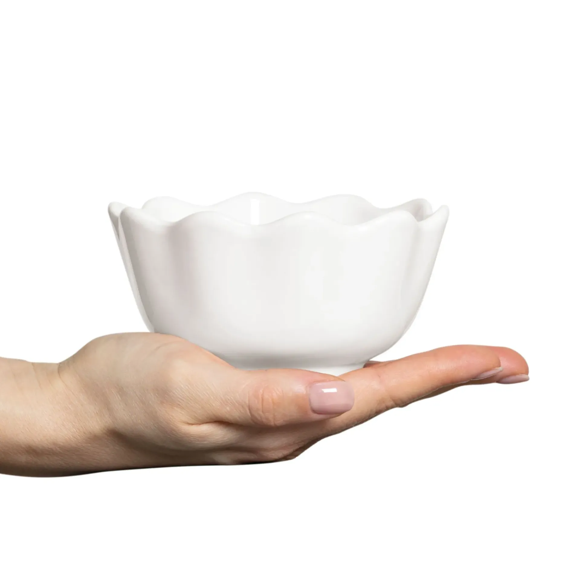 Oyster Ostronskal 13 Cm