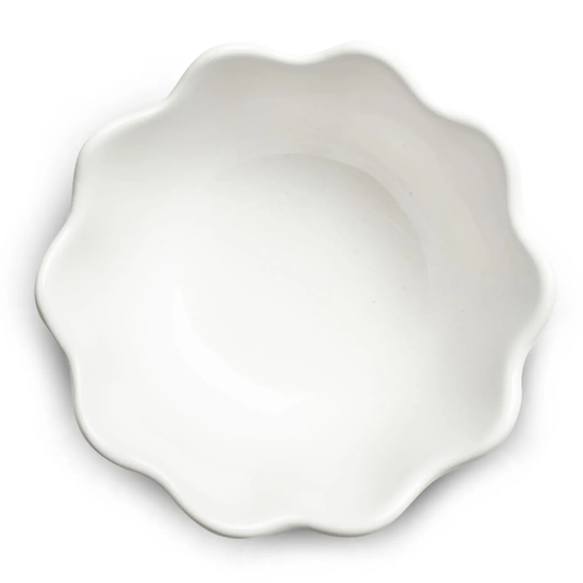 Oyster Ostronskal 13 Cm
