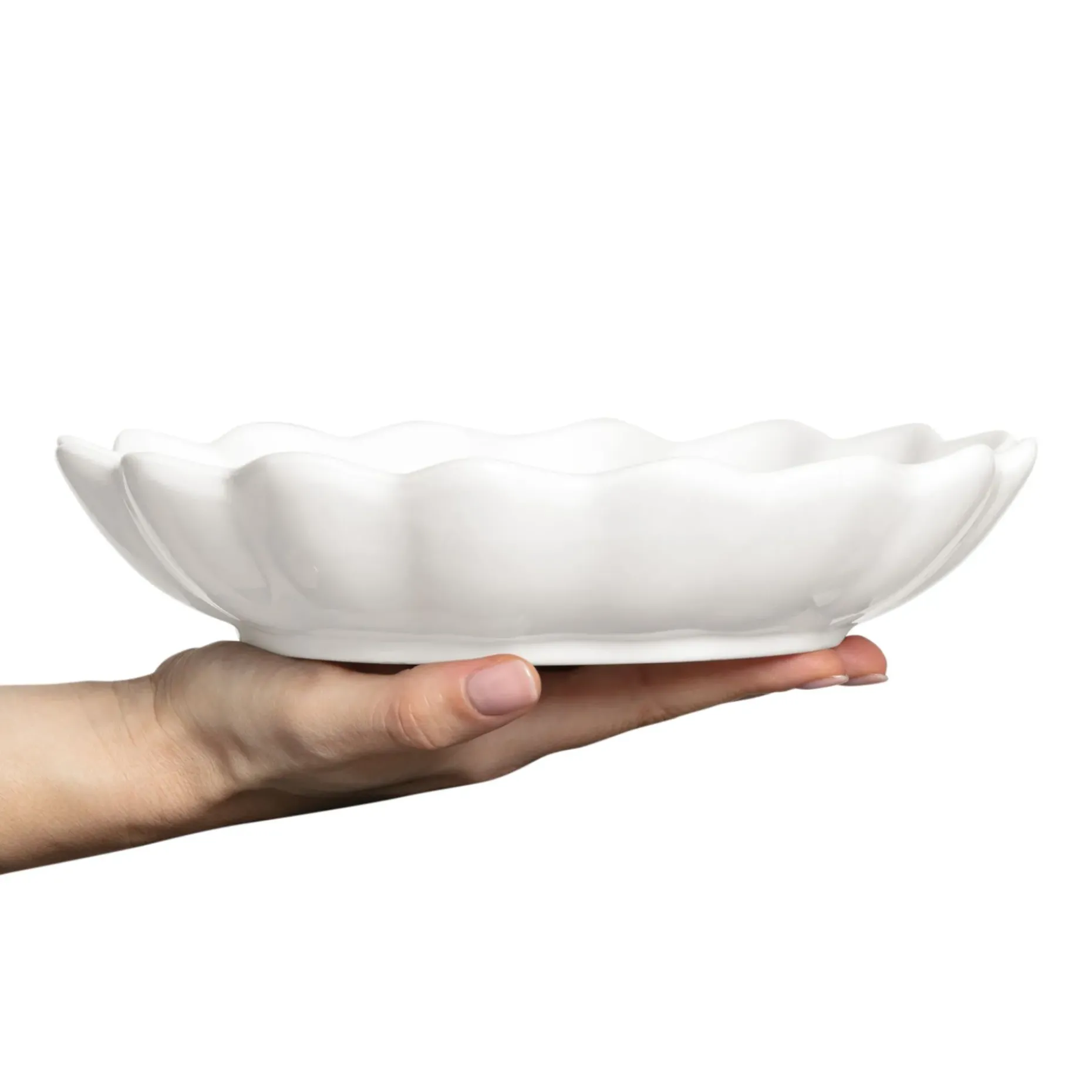 Oyster Ostronskal 24 Cm