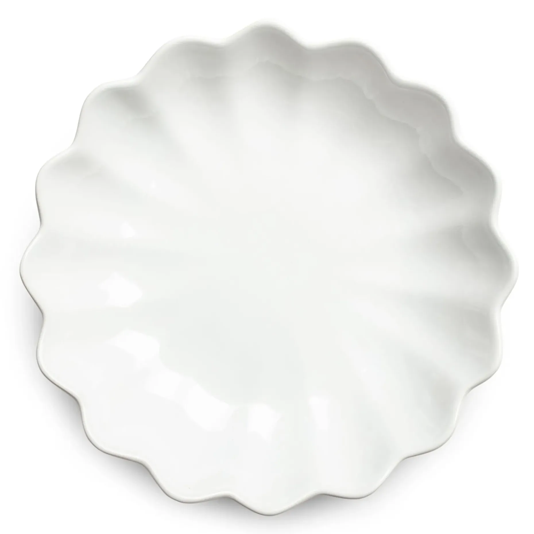 Oyster Ostronskal 24 Cm