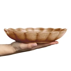 Oyster Ostronskal 24 Cm