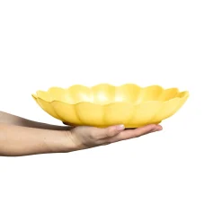 Oyster Ostronskal 31 Cm