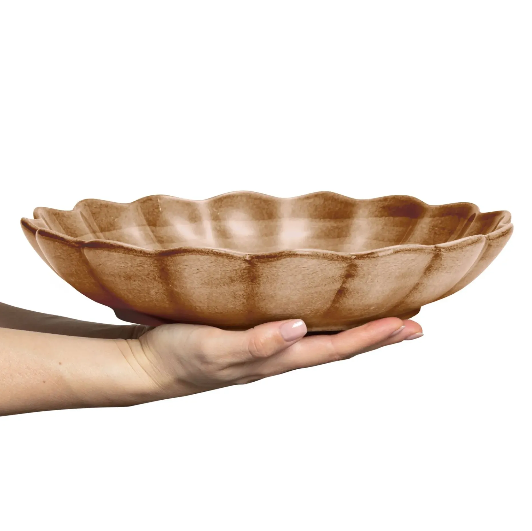 Oyster Ostronskal 31 Cm