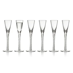Paris Snapsglass 2,5 Cl 6-Pakning