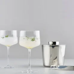 Rocks Copa/Gt Glass 2-Stk.
