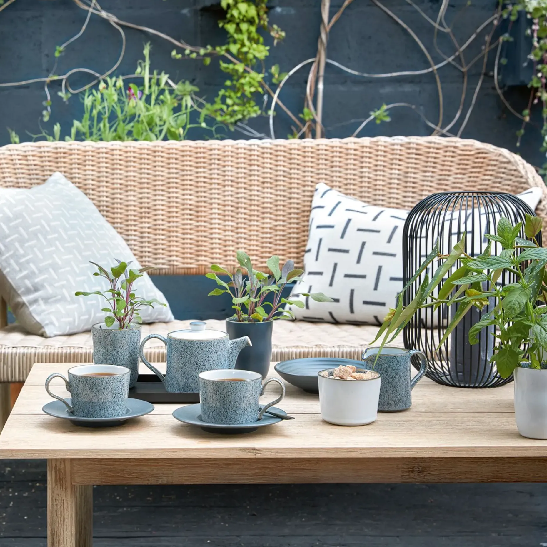 Studio Grey Brew Sukkerskal