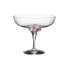 Sugar Dandy Coupeglass 32 Cl