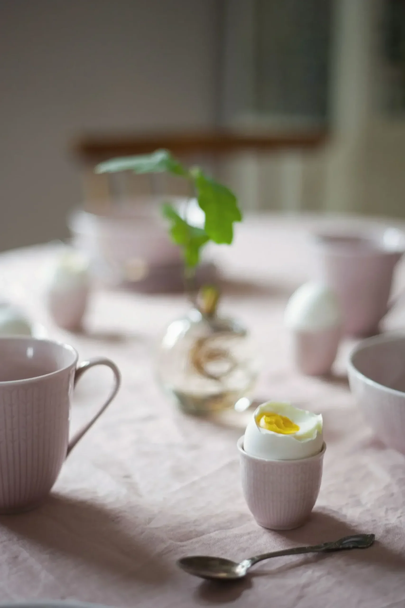 Swedish Grace Eggeglass
